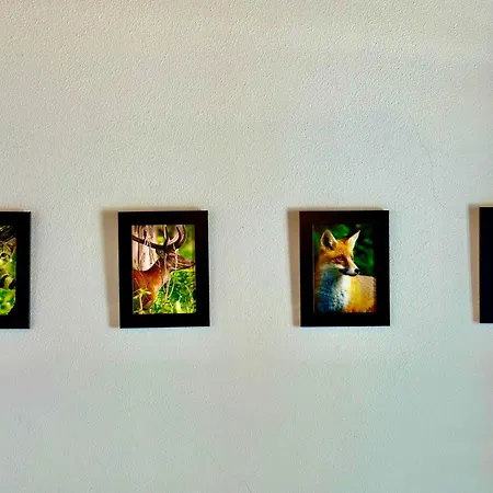 別荘 Egua Nature House Piódão